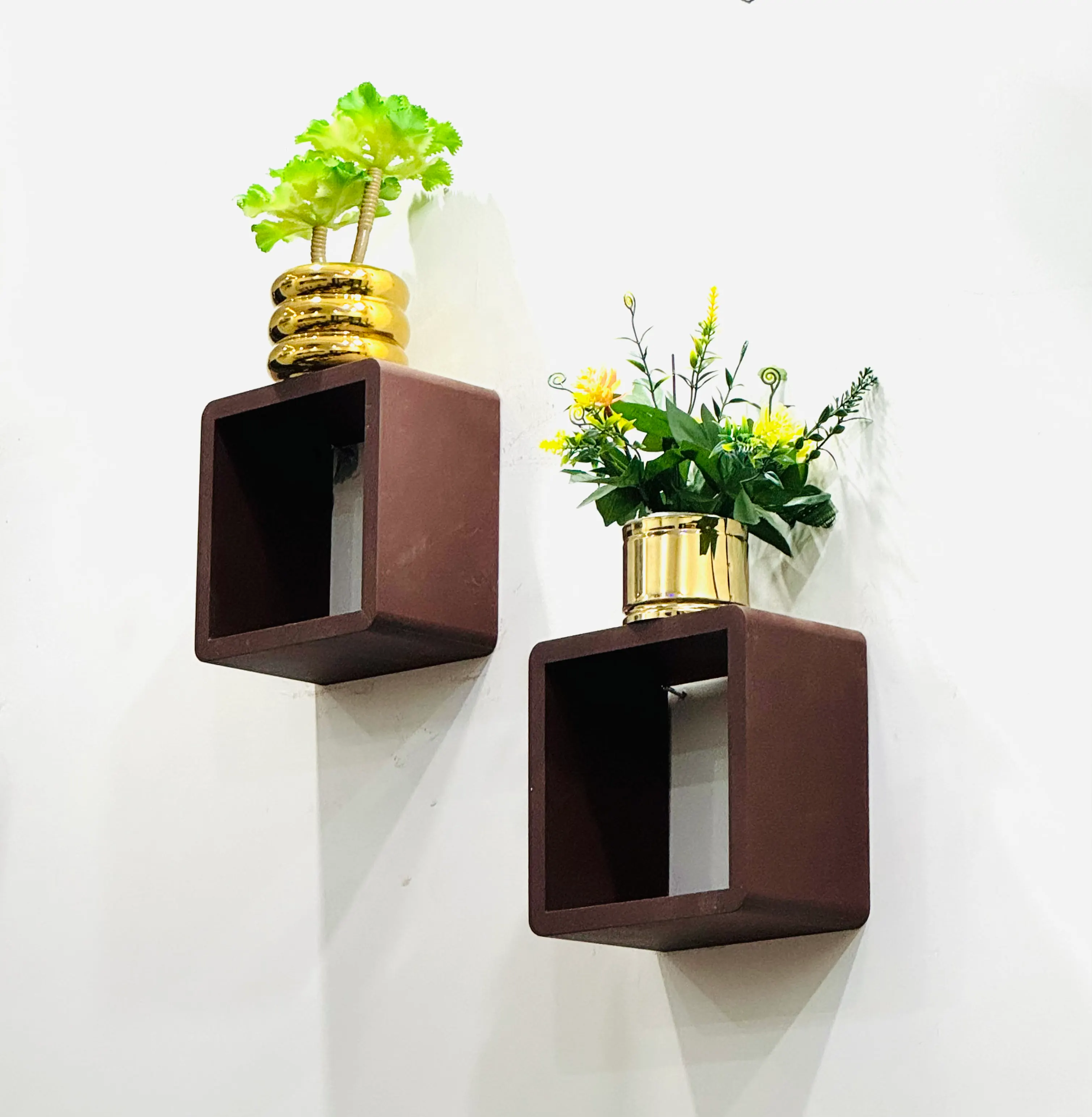 Dev Entity office wall shelves with plants and flowers